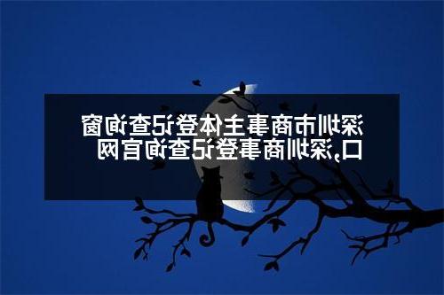 深圳市商事主体登记查询窗口,深圳商事登记查询官网