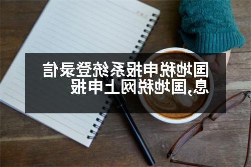 国地税申报系统登录信息,国地税网上申报